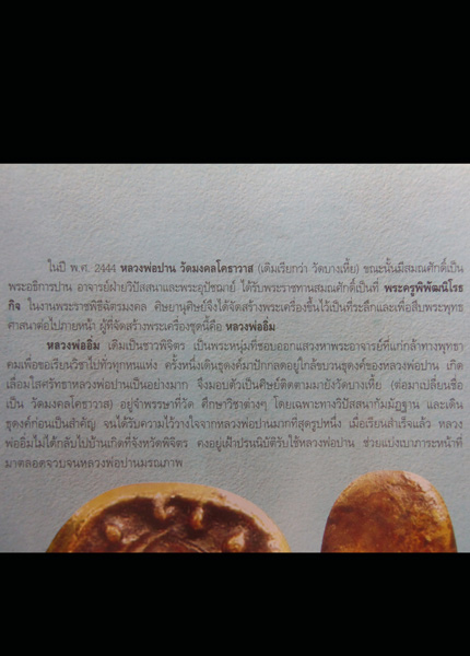 พระหลวงพ่อปาน พิมพ์ซุ้มชินราช เนื้อผงผสมว่าน วัดมงคลโคธาวาส(บางเหี้ย)