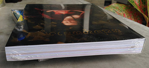 หนังสือ หน่อพุทธางกูร ครูบากฤษดา วัดป่ายาง (วัดสันพระเจ้าแดง) ชีวประวัติ คำสอน และ ภาพวัตถุมงคล 
