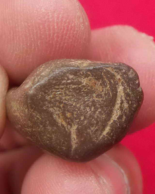 พระรอดหลวง กรุวัดมหาวัน(มีเกศ)