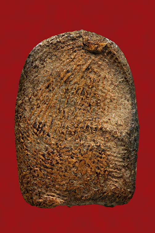 พระสังกัจจายน์ กรุลานดอกไม้ สุโขทัย สวยครับ