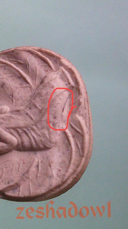 พระผงเจ้าคุณนร พิเศษมีเกษา