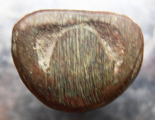 รูปหล่อหลวงพ่อเงินฐานสูง ออกวัดขวาง สวยๆเก่าๆครับ