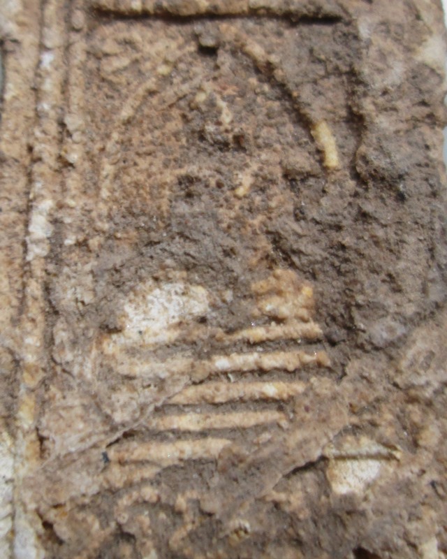 พระกรุบางระกำ ฝักไม้ดำ-ฝักไม้ขาว