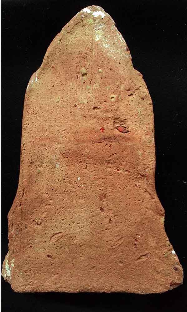 โคนสมอ เนื้อดิน จ.อยุธยา สภาพล้างผิว ราคาเบาๆครับ