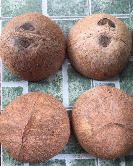 สร้อยกะลาตาเดียวแท้ๆหัวขุน+ตัวจบไม้พยุงสวยๆเท่ห์