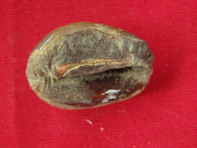 เบี้ยแก้ หลวงพ่อเกษม ปี38 จ.ลำปาง กล่อง เดิม 