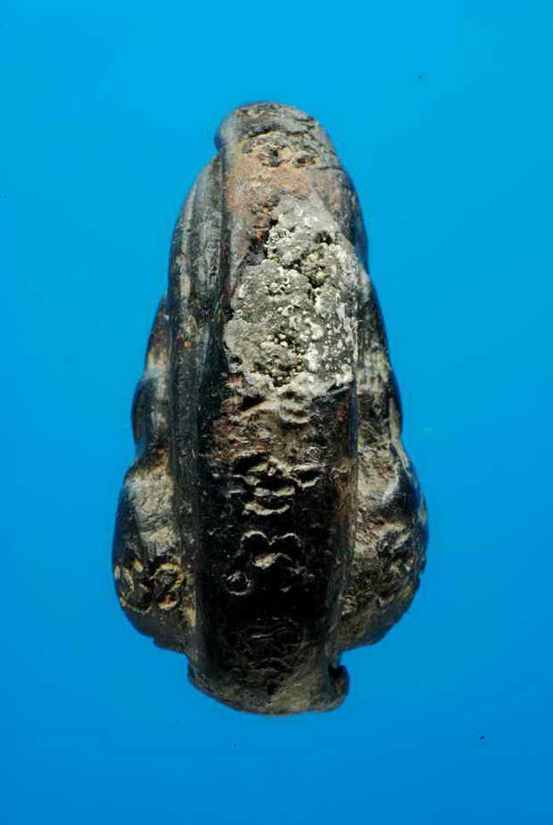 กริ่งคลองตะเคียน หน้าเล็ก พิมพ์สองหน้า  กรุโคกจินดาราม อยุธยา ราคาตามสภาพ