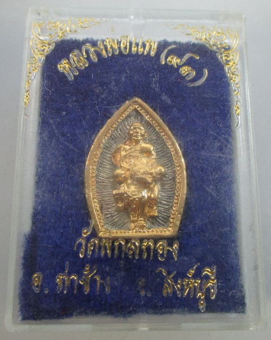 เหรียญหล่อนั่งสิงห์หลวงพ่อแพ วัดพิกุลทอง ๙๓