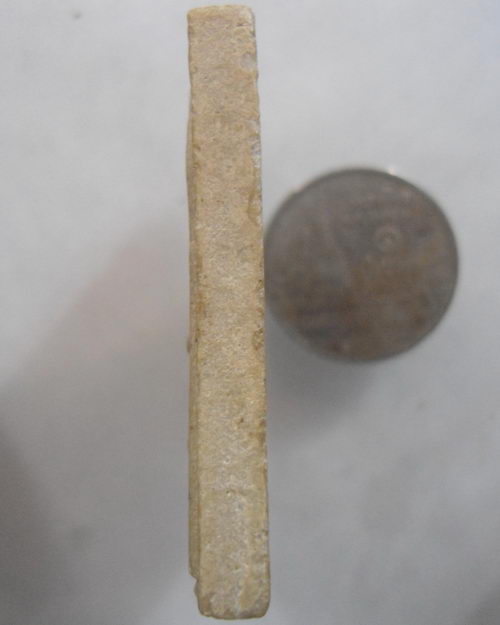 “ พระสมเด็จเนื้อผงน้ำมัน หลังเสือ วัดศีลขันธาราม ”