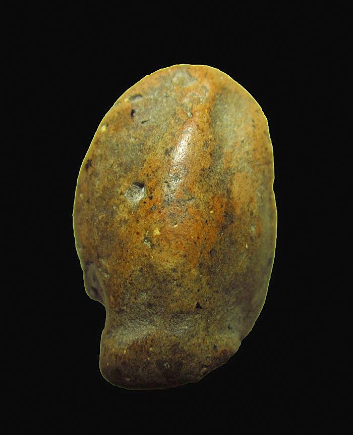 พระนาคปรกลูกยอไม่ตัดปีก กรุเก่ากำแพงเพชร เคาะเดียวแดงครับ (ขอผู้ที่พร้อมโอนเลยครับ)