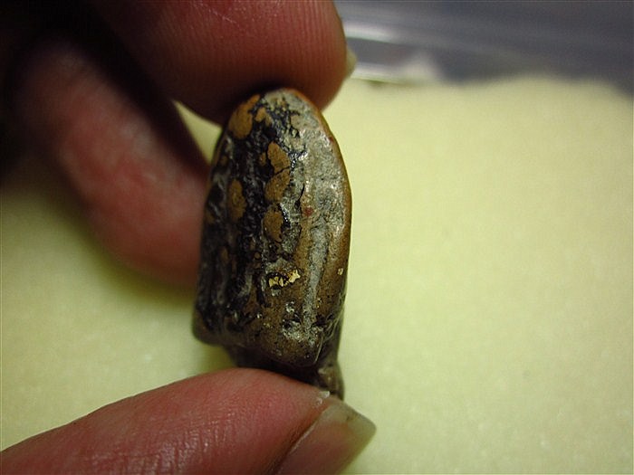 พระนาคปรกลูกยอไม่ตัดปีก กรุเก่ากำแพงเพชร เคาะเดียวแดงครับ (ขอผู้ที่พร้อมโอนเลยครับ)