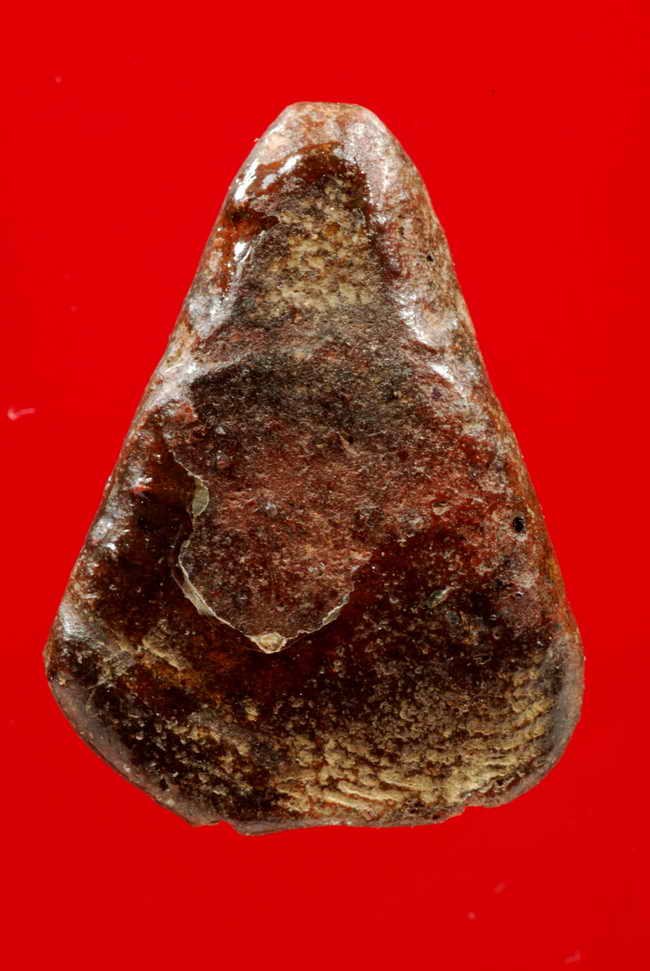 พร้อมใบCERTIFICATE.....งบน้ำอ้อยตัดแบ่ง เนื้อดิน กรุสุโขทัย