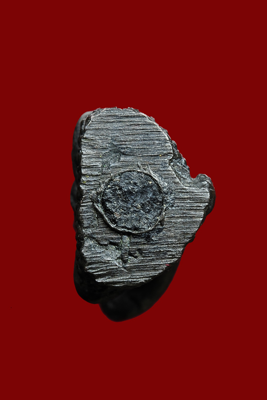 พระนาคปรกเนื้อนวะ วัดสาริโข จ.นนทบุรี ปี2514 