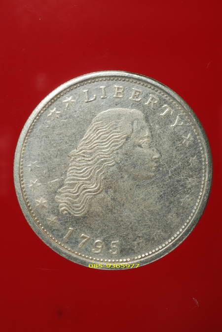 เหรียญเงินตราา นิเกิ้ล สหรัฐอเมริกา ปี1795