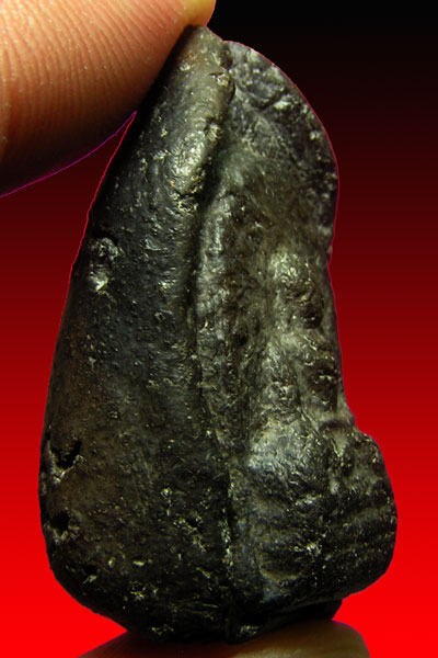 พระกริ่งคลองตะเคียน กรุวัดช้าง เนื้อดิน จ.อยุธยา