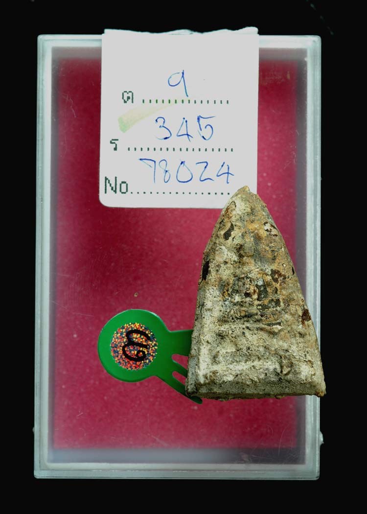 จัดไปแพ็คคู่ พระวัดสามปลื้มและกรุวัดท้ายตลาด เคาะเดียว!