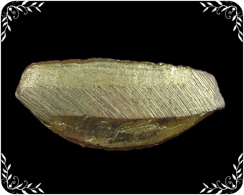 รูปหล่อหลวงพ่อพูล วัดไผ่ล้อม รุ่น 1