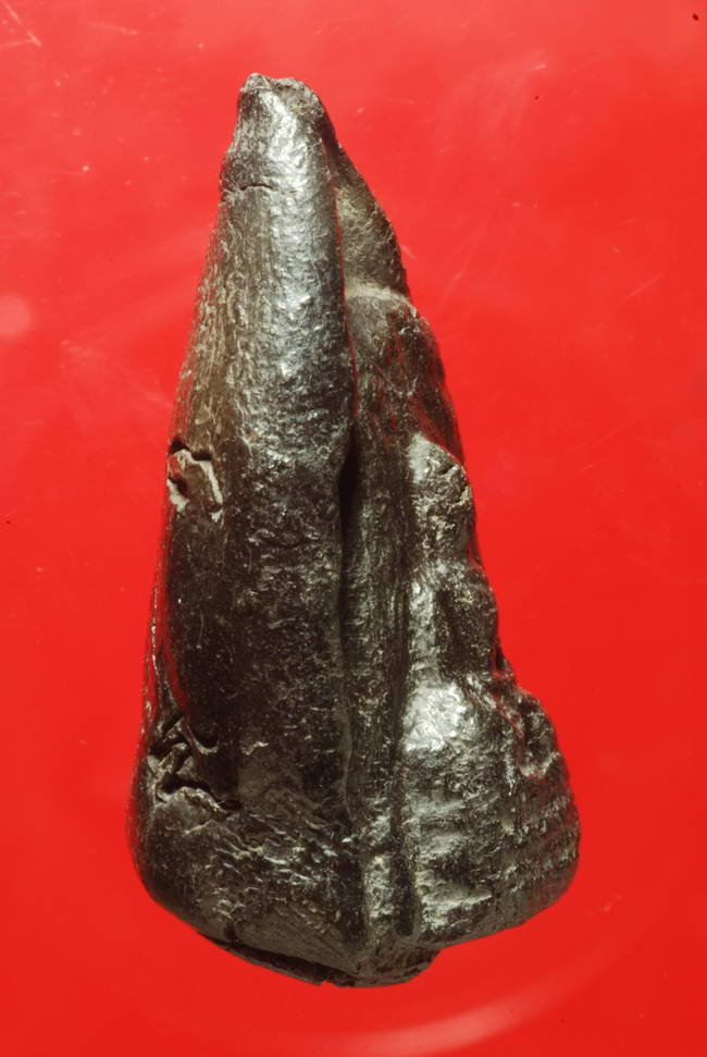 พระกริ่ง คลองตะเคียน กรุวัดช้าง อยุธยา เนื้อดิน