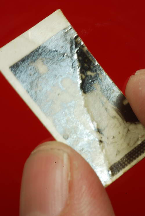 รูปถ่ายขาวดำ เจ้าคุณนร วัดเทพศิรินทร์ กทม.ปี2513