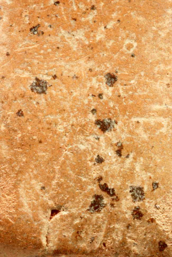 สรรค์นั่ง กรุท้ายย่าน เนื้อดิน ชัยนาท 