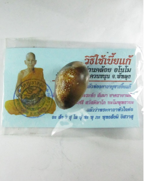 หลวงพ่อคล้อย วัดภูเขาทอง สำนัก เขาอ้อ ...... เบี้ยแก้ ตัวใหญๆๆ ฝังตะกรุด