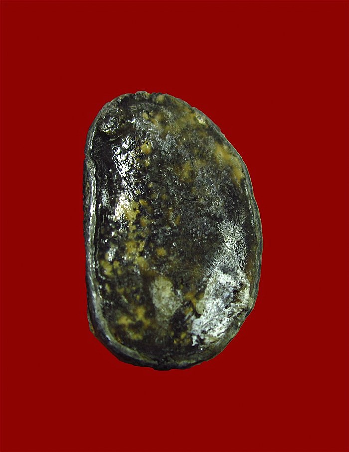 พระแก้บนตะกั่วสนิมแดง ยุคต้น เคาะเดียวแดงครับ(ขอผู้ที่พร้อมโอนเลยครับหลังปิดแล้ว)