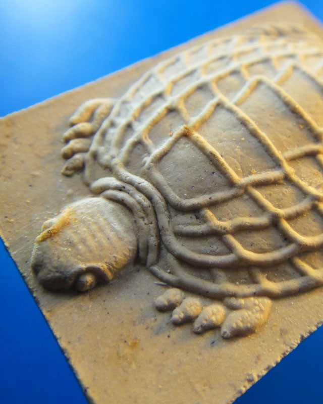 เต่า หลวงพ่ออุ้น วัดตาลกง เพชรบุรี