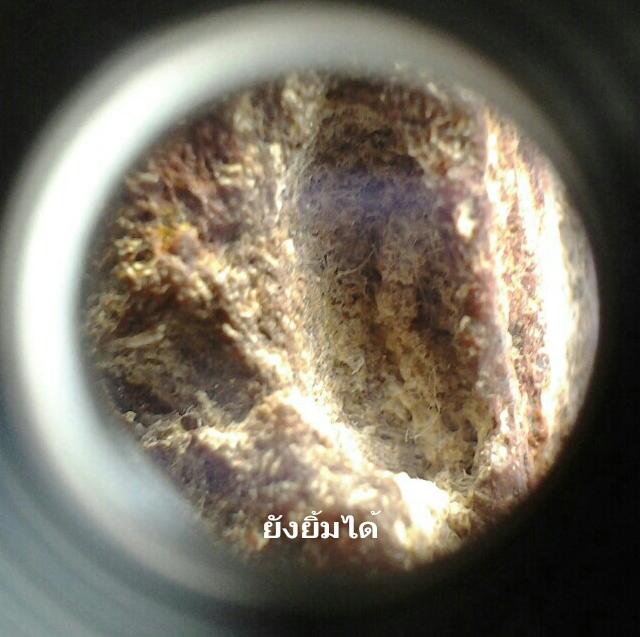 กล้องส่องพระ PEAK 20X (MADE IN JAPAN) สินค้าลิขสิทธิ์แท้จากญี่ปุ่น เคาะเดียวแดงส่งEMSให้เลย