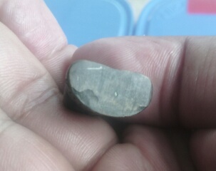 พระสังกัจจายหลวงปู่แผ้ววัดกำแพงแสนรุ่นแซยิด84