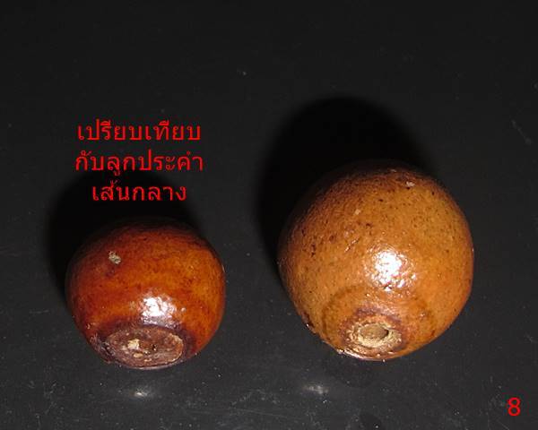 เม็ดประคำเหล็กน้ำพี้ รุ่น 'เสาร์๕ มหาเศรษฐี' ขนาดใหญ่ 1 ลูก หลวงปู่หมุน วัดบ้านจาน ปี๒๕๔๓ #8