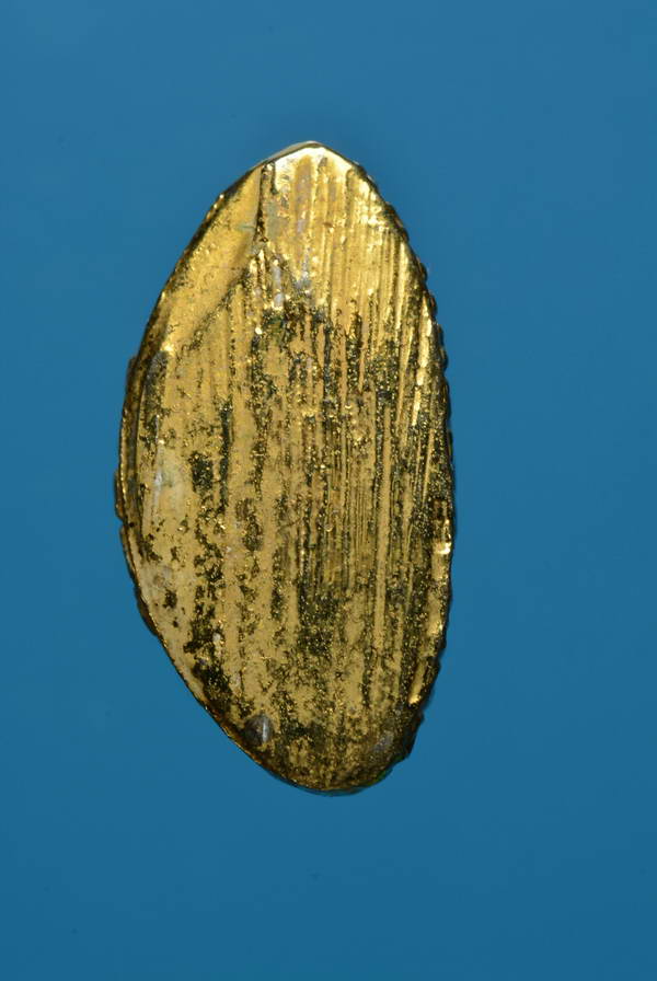 หลวงพ่อมงคลบพิตร กะหลั่ยทอง อยุธยา