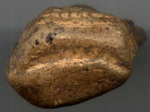 *พระคงลำพูน*