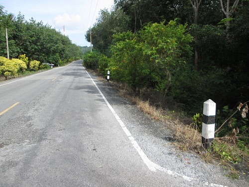 ขายที่ดิน 9 ไร่ 3 งาน