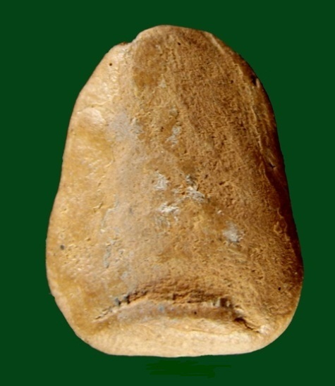 พระกรุวัดพระพิเรนทร์ หลวงพ่อเข่ง กรุงเทพฯ 