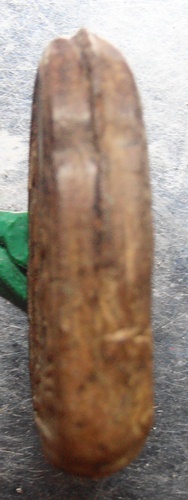 ชินราชเนื้อดินกรุบางยี่หน สวยๆครับ