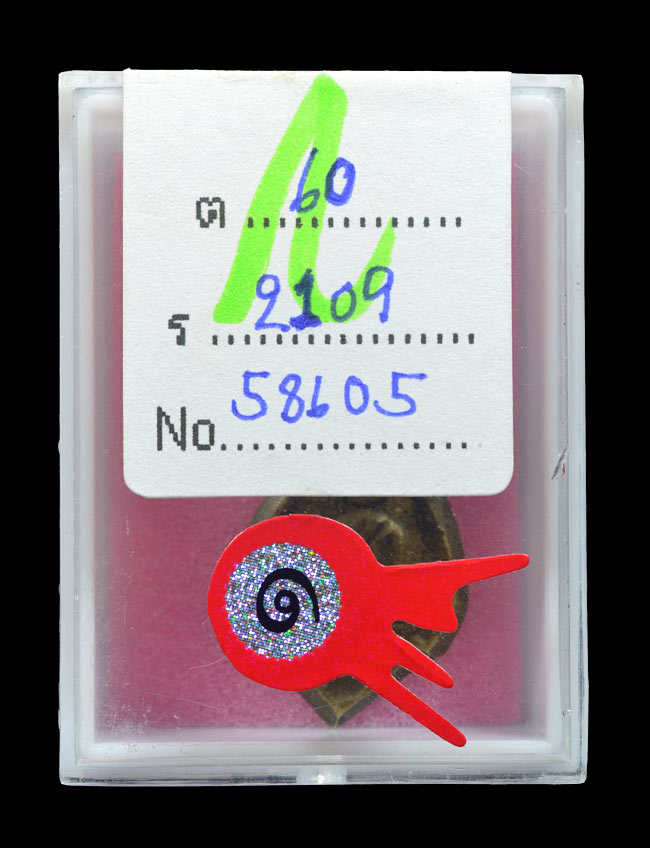 เหรียญหล่อก้นแมงดาหลวงพ่อวัดไร่ขิง