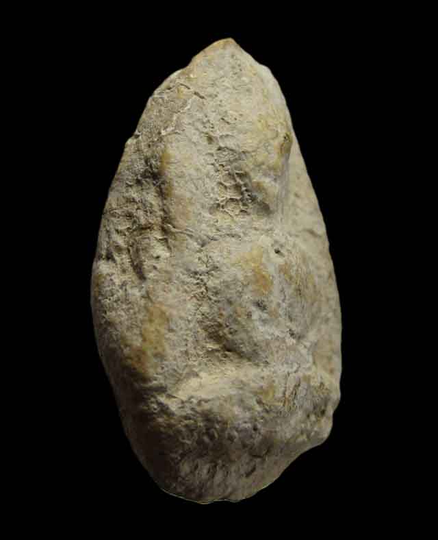 พระกรุอัมพวาพิมพ์วัดพลับ