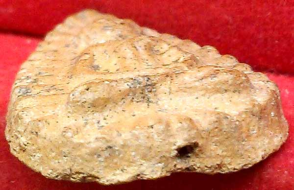 *พระกลีบบัว กรุวัดลิงขบ พิมพ์ลึก..สวย*