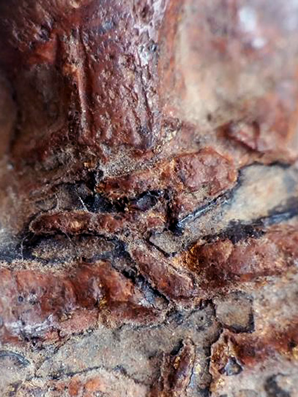 พระกรุวัดใหญ่ชัยมงคล จ.พระนครศรีอยุธยา