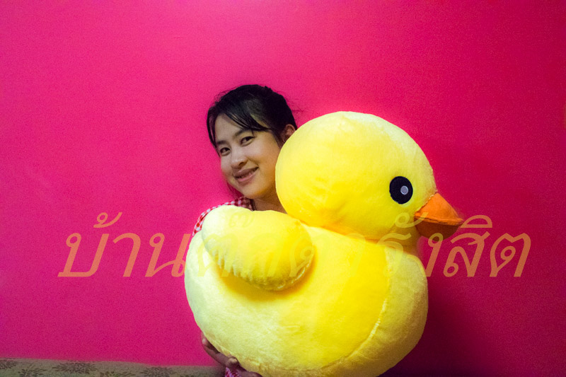 ตุ๊กตารักนะเป็ดโง่