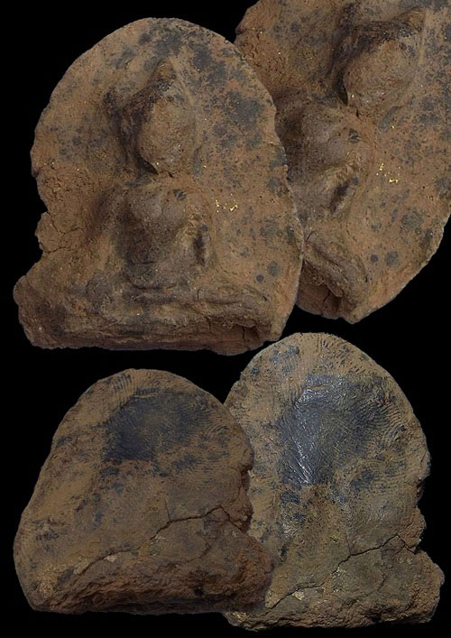 พระร่วงนั่งเข่ากว้าง กรุ สปจ เนื้อดิน จ.กำแพงเพชร ตลับเงิน