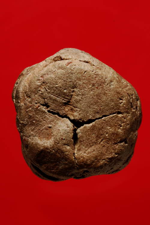 พระเจ้า 5 พระองค์ กรุนางเหลียว  จ.แพร่ เนื้อดิน