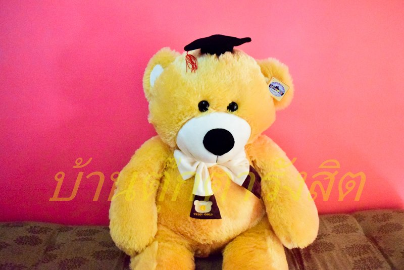 ตุ๊กตาหมีขนาด 1.3 เมตร ราคา 1199 พร้อมส่งทั่วประเทศ