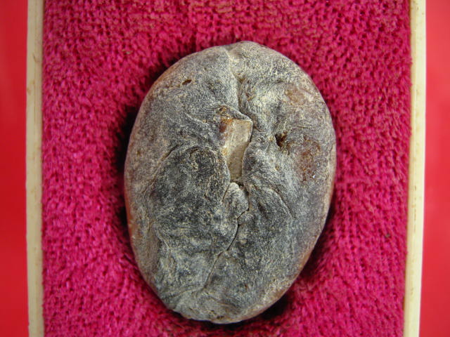 เบี้ยแก้ หลวงพ่อเกษม ปี38 จ.ลำปาง กล่องเดิม ...