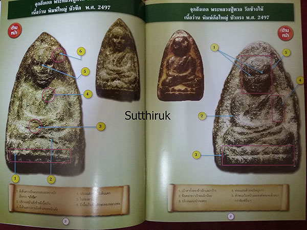 หนังสือ ชี้จุดตำหนิพิมพ์นิยม พระหลวงปู่ทวด วัดช้างให้