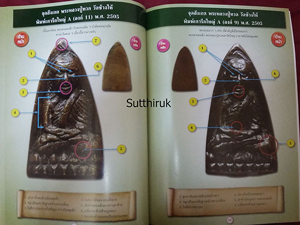 หนังสือ ชี้จุดตำหนิพิมพ์นิยม พระหลวงปู่ทวด วัดช้างให้