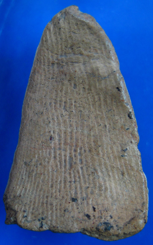 เชตุพน หน้าโหนก 2 (กำแพง)