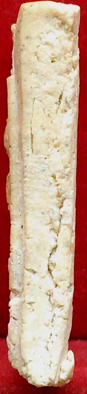 *ปรกโพธิ์ใหญ่ ..ลพ.เงิน วัดดอนยายหอม*