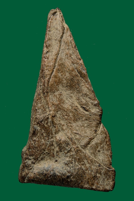 พระว่านจำปาสัก พิมพ์ปางมารวิชัย