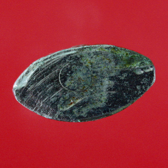 หลวงพ่อโต วัดทุ่งน้อย จ.นครปฐม(กริ่งไม่ดัง) พระปั๊ม กะหลั่ยเงินเดิมๆ